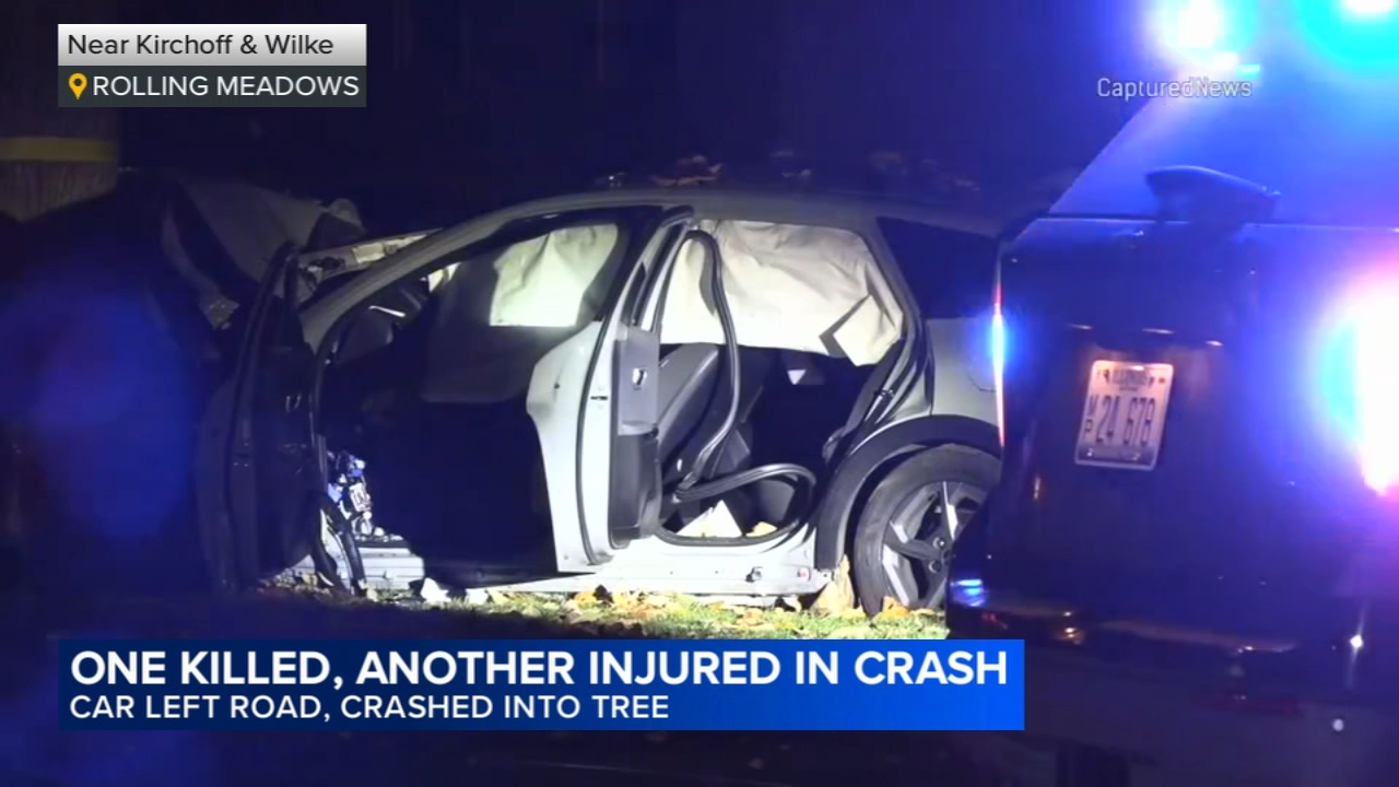 Driver killed, 1 other hurt after crashing into tree, Rolling Meadows police say
       — Geneva Community news